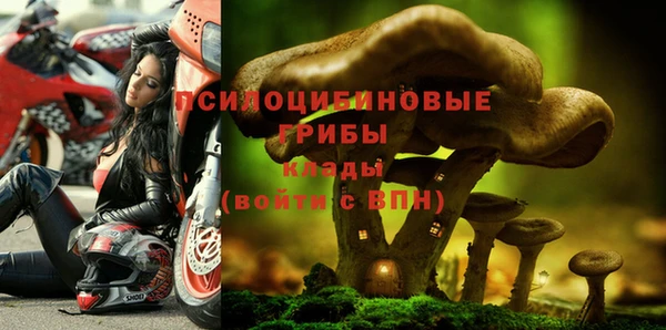 ПСИЛОЦИБИНОВЫЕ ГРИБЫ Каменногорск