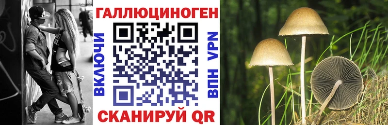 Купить закладки  Куйбышев  Галлюциногенные грибы MAGIC MUSHROOMS 